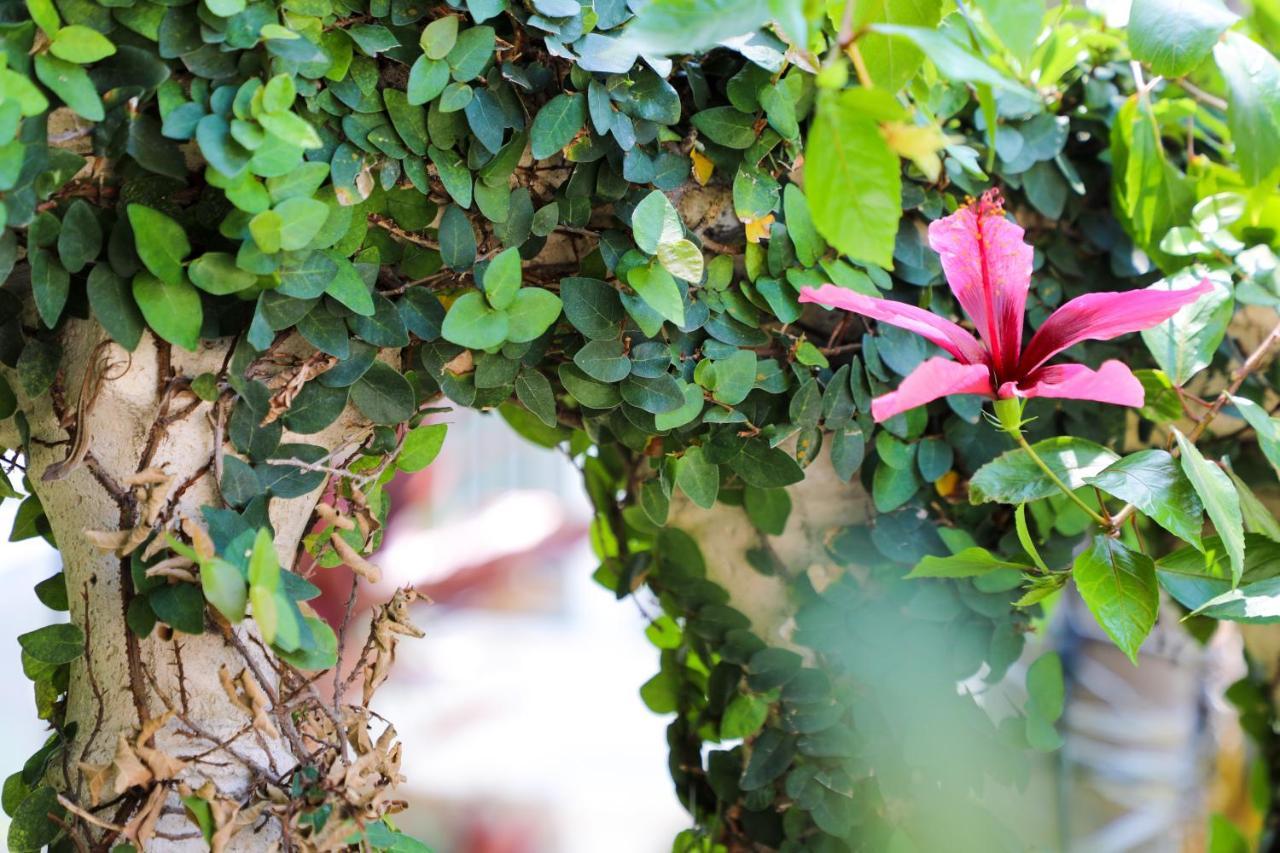 Almond Tree Inn - Adults Only Key West Bagian luar foto