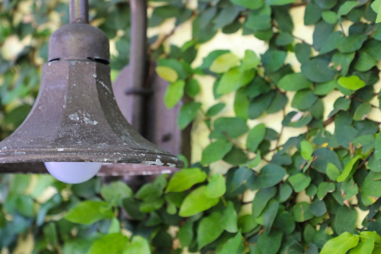 Almond Tree Inn - Adults Only Key West Bagian luar foto