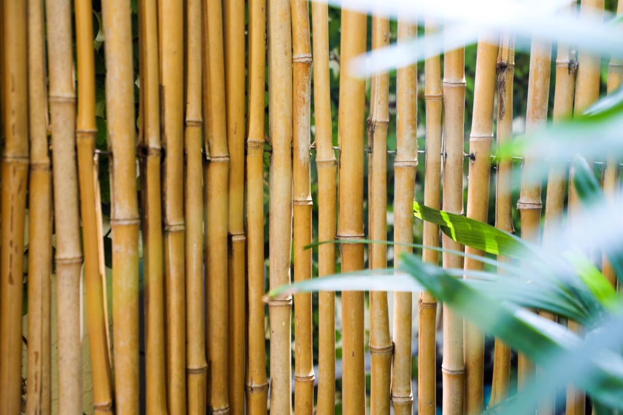 Almond Tree Inn - Adults Only Key West Bagian luar foto