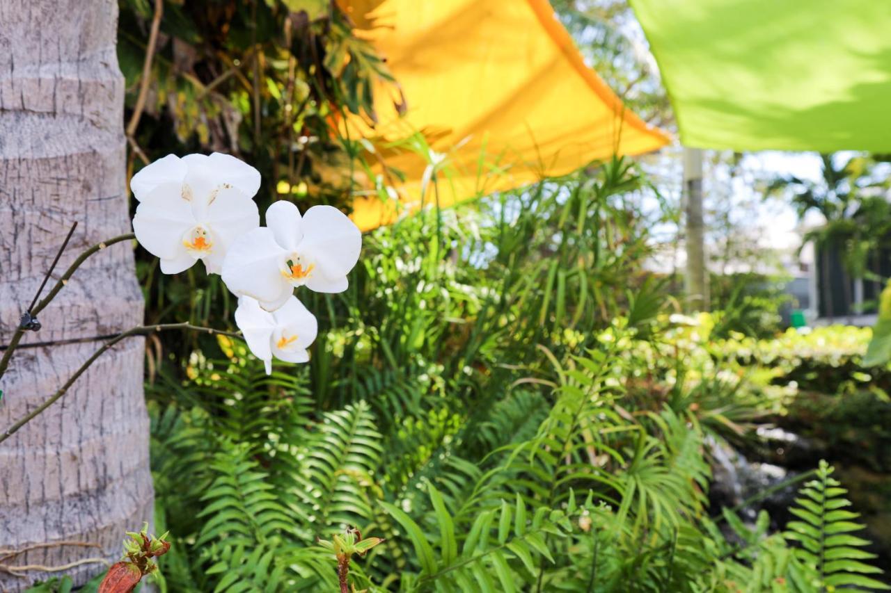 Almond Tree Inn - Adults Only Key West Bagian luar foto